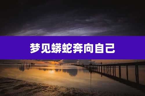 梦见蟒蛇奔向自己