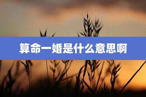 算命一婚是什么意思啊