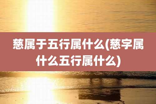 慈属于五行属什么(慈字属什么五行属什么)