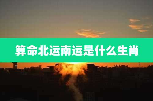 算命北运南运是什么生肖