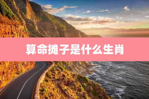 算命摊子是什么生肖