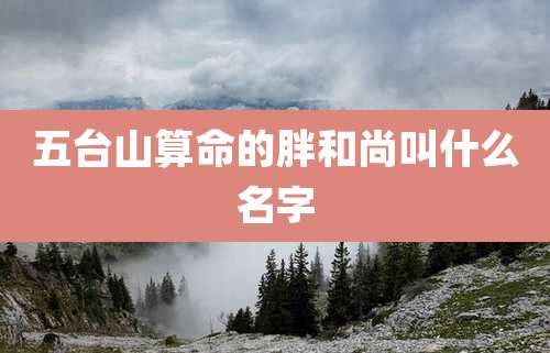 五台山算命的胖和尚叫什么名字