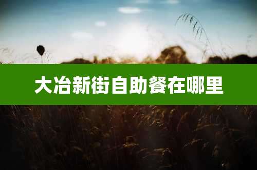大冶新街自助餐在哪里