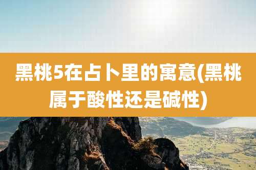 黑桃5在占卜里的寓意(黑桃属于酸性还是碱性)