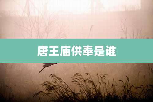 唐王庙供奉是谁