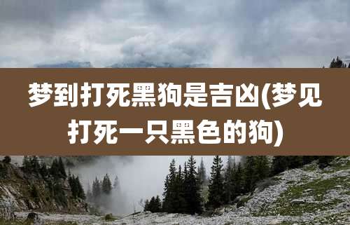 梦到打死黑狗是吉凶(梦见打死一只黑色的狗)
