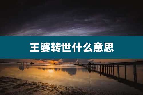 王婆转世什么意思