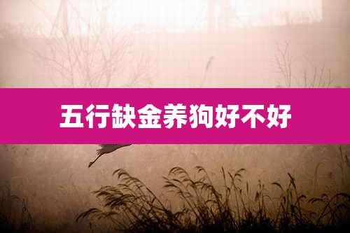 五行缺金养狗好不好