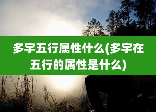 多字五行属性什么(多字在五行的属性是什么)