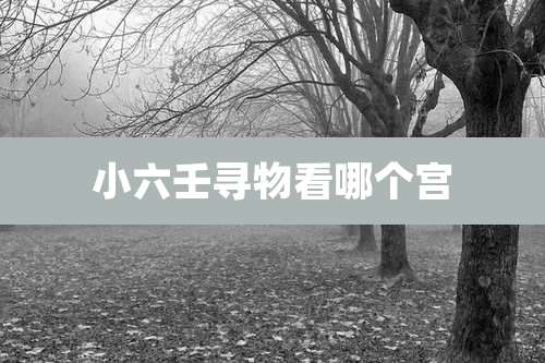 小六壬寻物看哪个宫