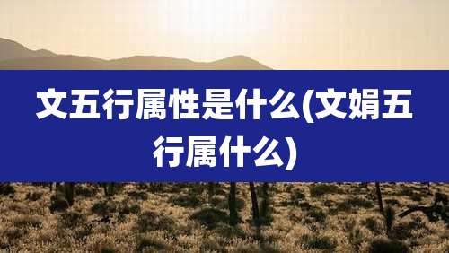 文五行属性是什么(文娟五行属什么)