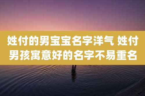 姓付的男宝宝名字洋气 姓付男孩寓意好的名字不易重名