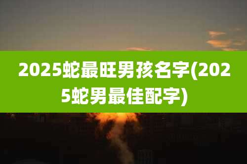 2025蛇最旺男孩名字(2025蛇男最佳配字)