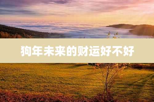 狗年未来的财运好不好