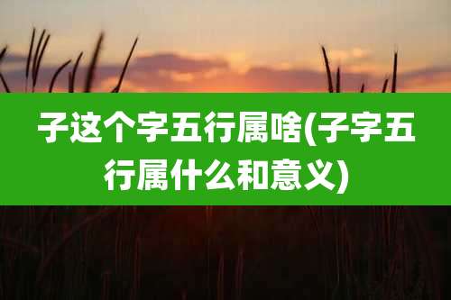 子这个字五行属啥(子字五行属什么和意义)