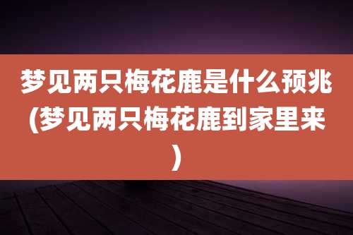 梦见两只梅花鹿是什么预兆(梦见两只梅花鹿到家里来)