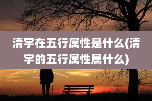 清字在五行属性是什么(清字的五行属性属什么)