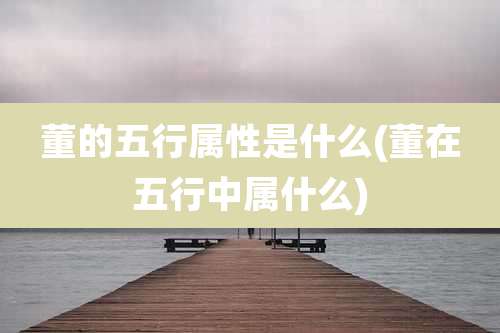 董的五行属性是什么(董在五行中属什么)