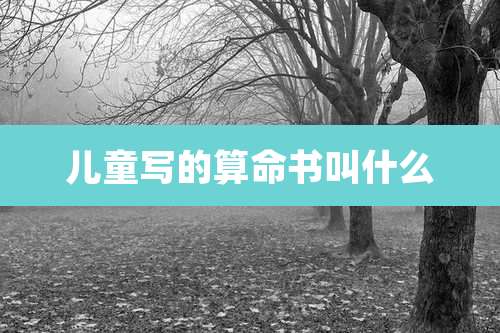儿童写的算命书叫什么