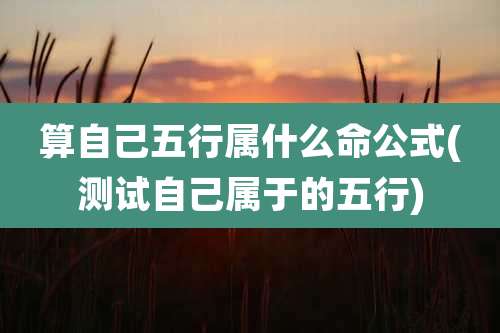 算自己五行属什么命公式(测试自己属于的五行)