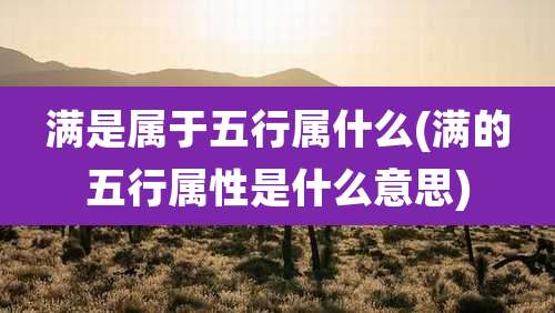 满是属于五行属什么(满的五行属性是什么意思)