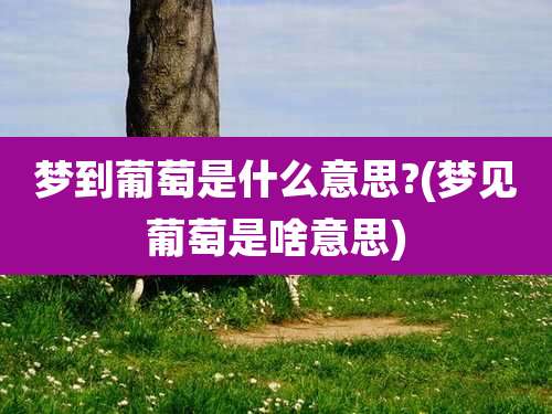 梦到葡萄是什么意思?(梦见葡萄是啥意思)