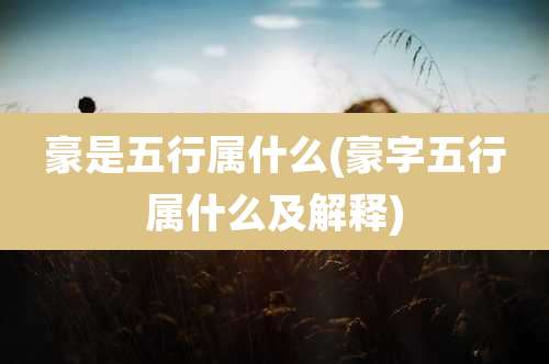 豪是五行属什么(豪字五行属什么及解释)