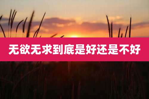 无欲无求到底是好还是不好