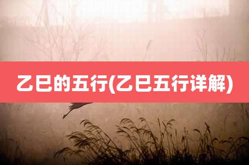 乙巳的五行(乙巳五行详解)