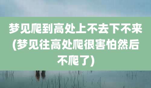梦见爬到高处上不去下不来(梦见往高处爬很害怕然后不爬了)