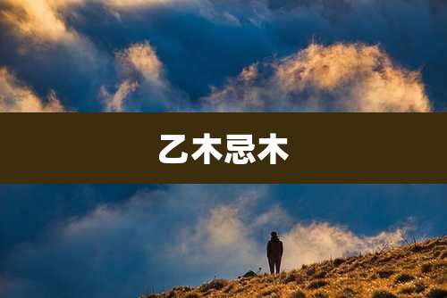 乙木忌木