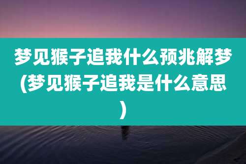 梦见猴子追我什么预兆解梦(梦见猴子追我是什么意思)