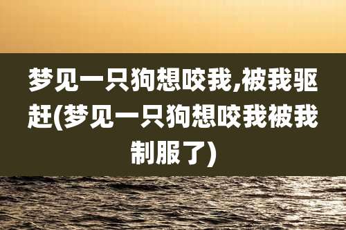 梦见一只狗想咬我,被我驱赶(梦见一只狗想咬我被我制服了)