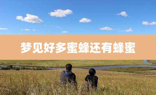 梦见好多蜜蜂还有蜂蜜