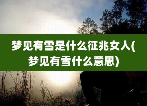 梦见有雪是什么征兆女人(梦见有雪什么意思)