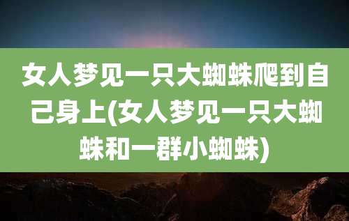 女人梦见一只大蜘蛛爬到自己身上(女人梦见一只大蜘蛛和一群小蜘蛛)
