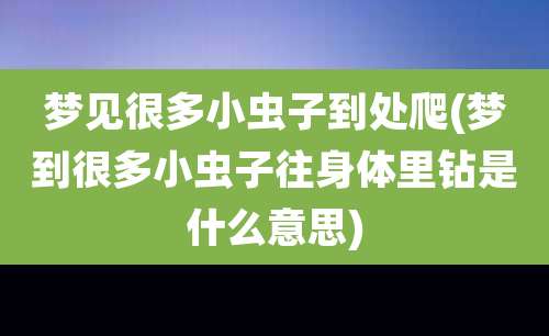 梦见很多小虫子到处爬(梦到很多小虫子往身体里钻是什么意思)