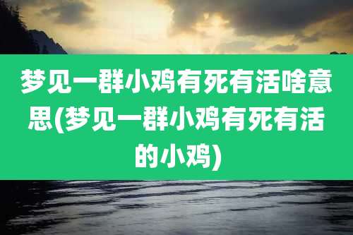 梦见一群小鸡有死有活啥意思(梦见一群小鸡有死有活的小鸡)