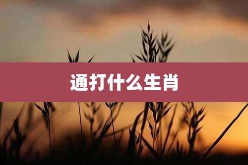 通打什么生肖