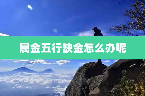 属金五行缺金怎么办呢