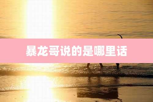 暴龙哥说的是哪里话