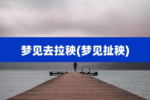 梦见去拉秧(梦见扯秧)