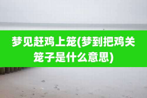 梦见赶鸡上笼(梦到把鸡关笼子是什么意思)