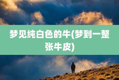 梦见纯白色的牛(梦到一整张牛皮)
