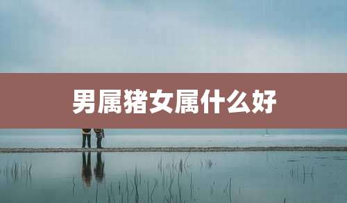 男属猪女属什么好