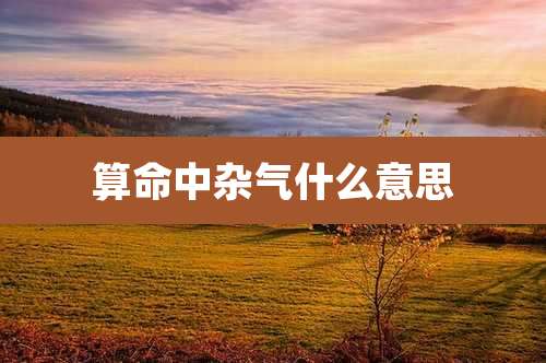 算命中杂气什么意思