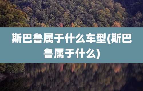 斯巴鲁属于什么车型(斯巴鲁属于什么)