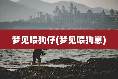 梦见喂狗仔(梦见喂狗崽)