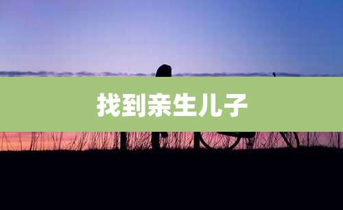 找到亲生儿子