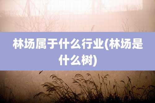 林场属于什么行业(林场是什么树)
